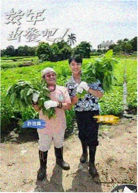 美食奇遇记 综艺海报